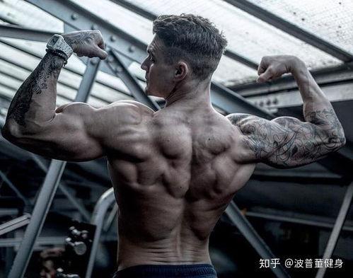 肌肉网红吃瓜,揭秘健身圈幕后故事 第3张 肌肉网红吃瓜,揭秘健身圈幕后故事 第3张